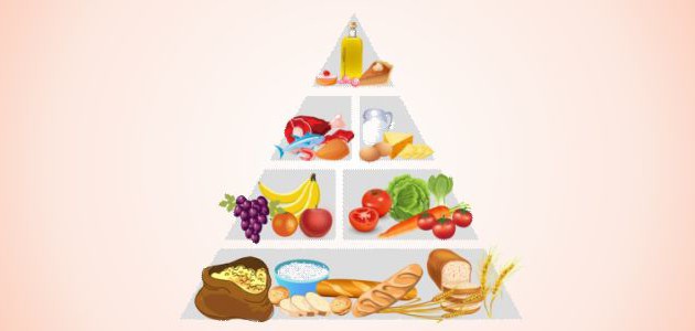 Recreando la pir&aacute;mide alimenticia